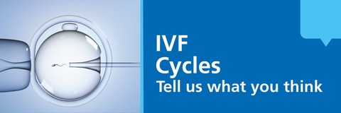 An image showing the IVF clinical procedure